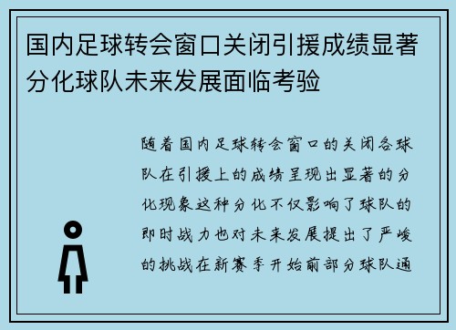 国内足球转会窗口关闭引援成绩显著分化球队未来发展面临考验