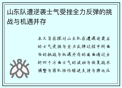 山东队遭逆袭士气受挫全力反弹的挑战与机遇并存